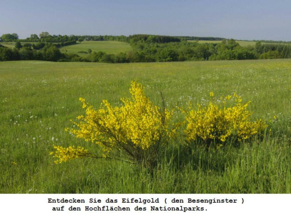 Ferienwohnung Gross B Schleiden Esterno foto