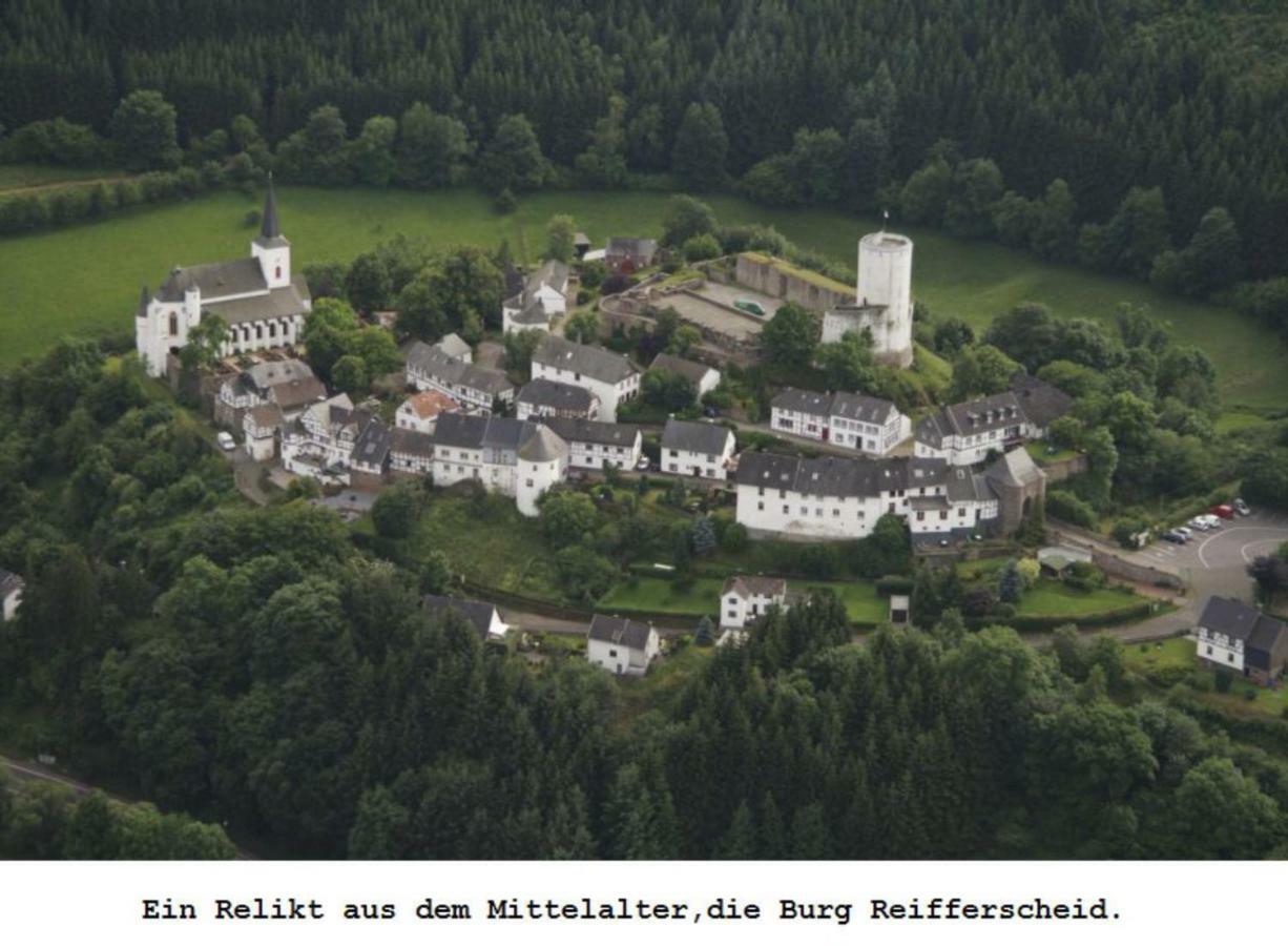 Ferienwohnung Gross B Schleiden Esterno foto