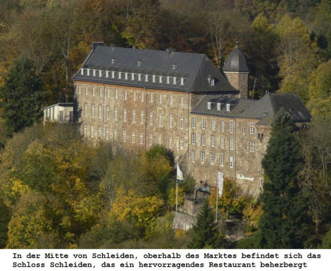 Ferienwohnung Gross B Schleiden Esterno foto
