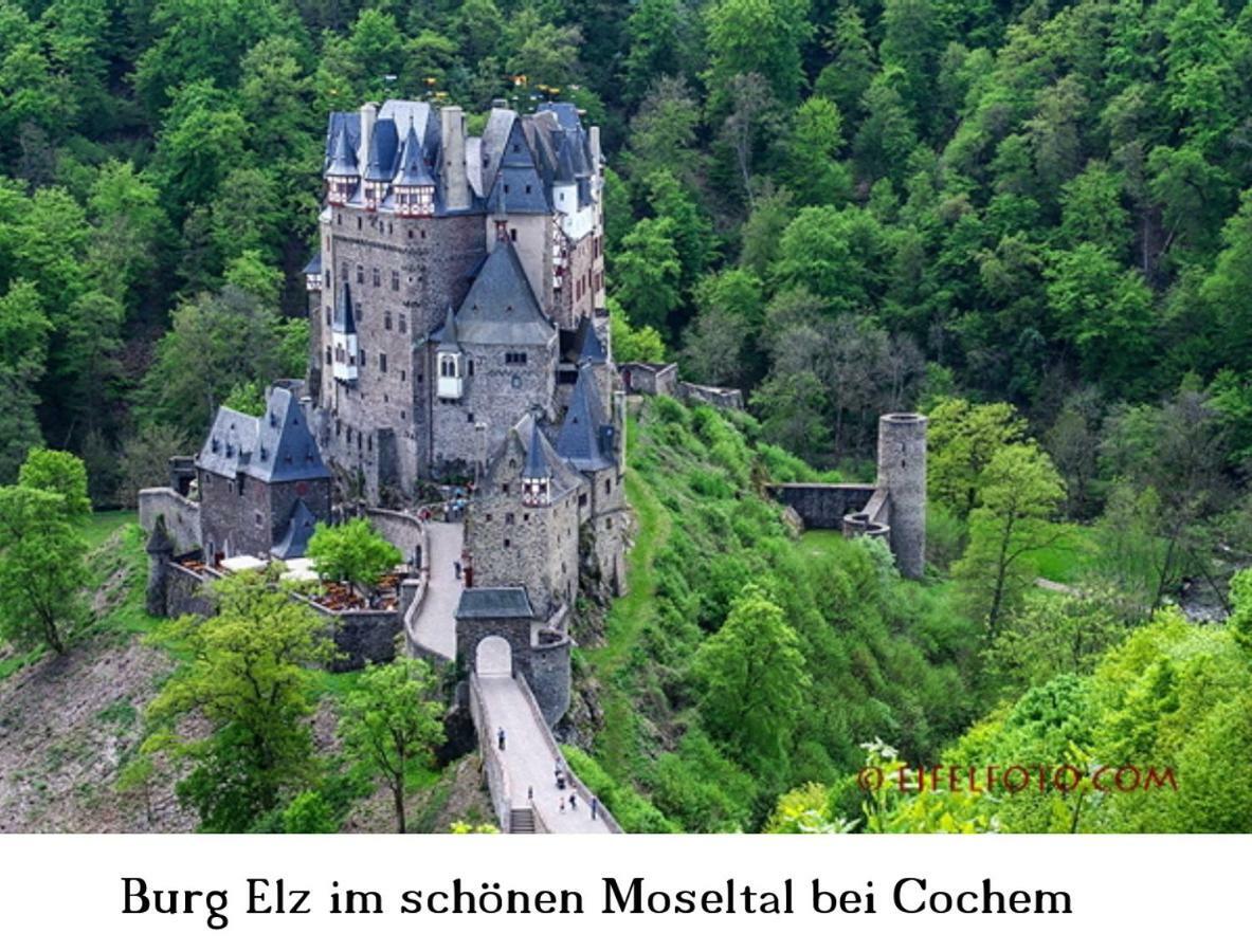 Ferienwohnung Gross B Schleiden Esterno foto