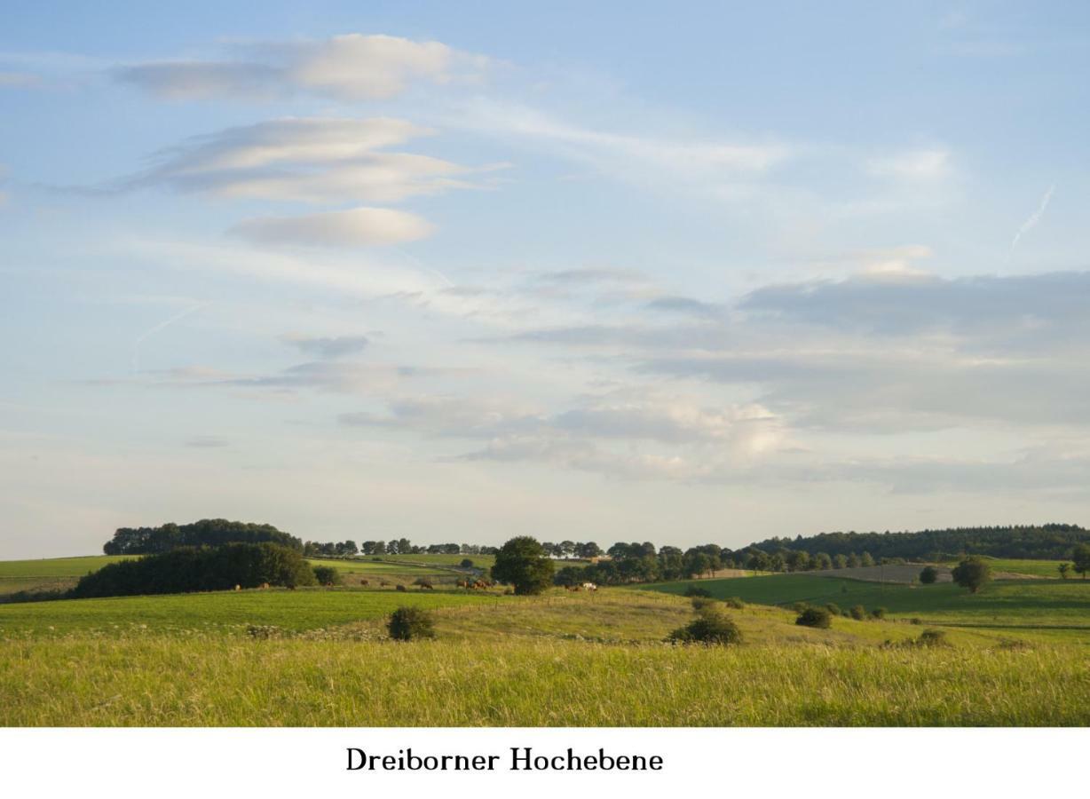 Ferienwohnung Gross B Schleiden Esterno foto