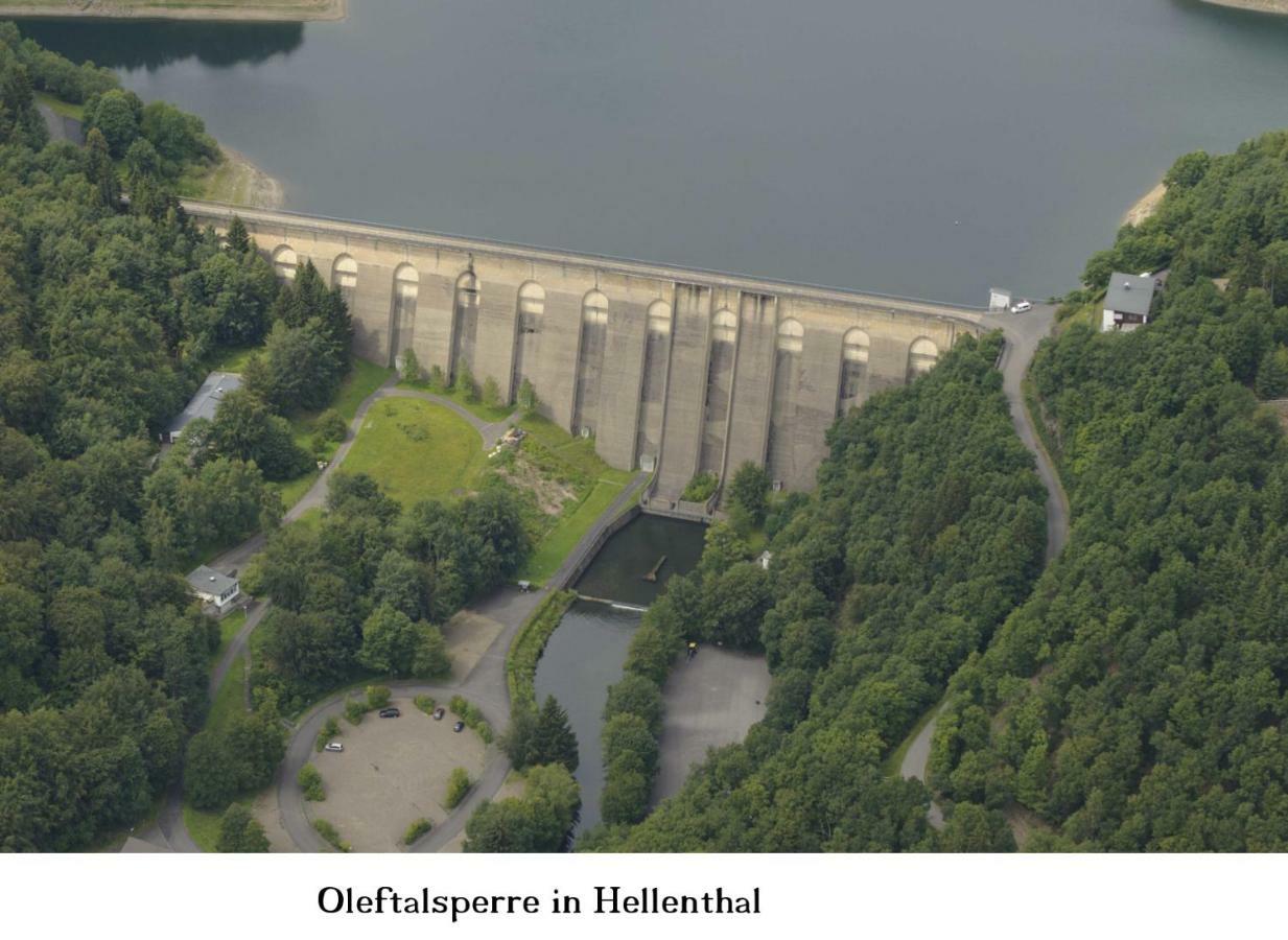 Ferienwohnung Gross B Schleiden Esterno foto