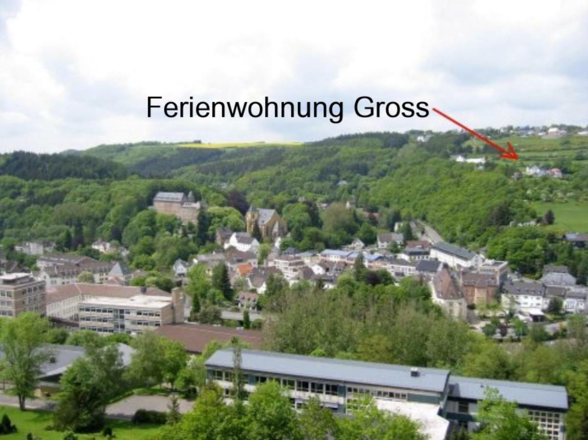 Ferienwohnung Gross B Schleiden Esterno foto